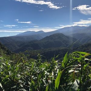 Meet your Posher, Kourtney